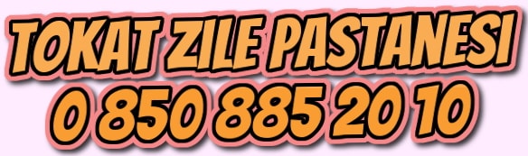 tokat zile ya pasta eitleri siparii yolla gnder